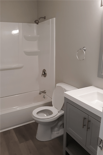 View of renovated bathroom showing soaking tub, toilet, and sink with grey cabinets - Photo Gallery 16
