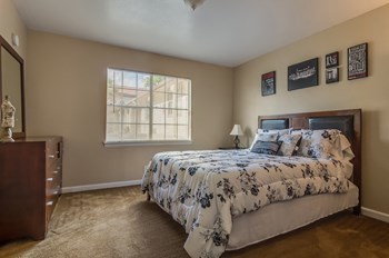 2167 NE Loop 410 1-3 Beds Apartment for Rent - Photo Gallery 6