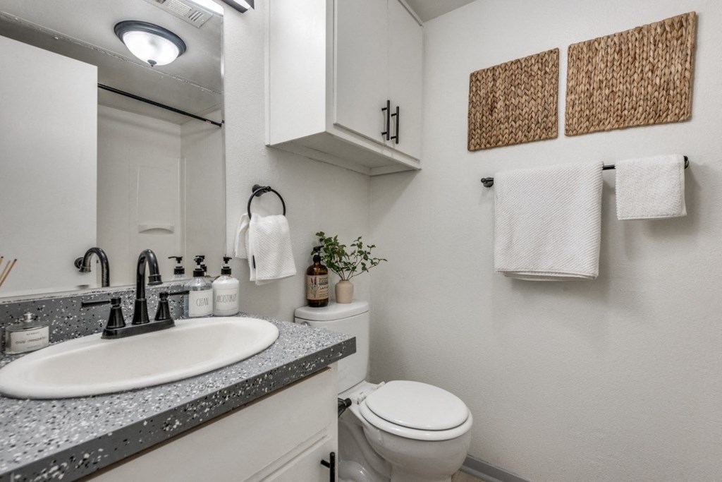 a bathroom with a sink and toilet next to a mirror