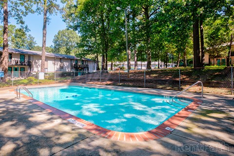 A small pool surrounded by trees and a fence.