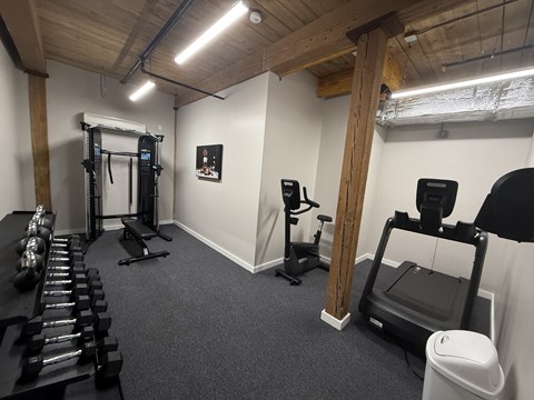 A gym with a row of dumbbells on the left and a treadmill on the right.