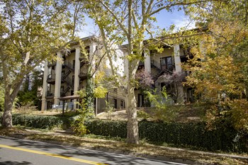 264-268 N State St Studio-2 Beds Apartment for Rent - Photo Gallery 2