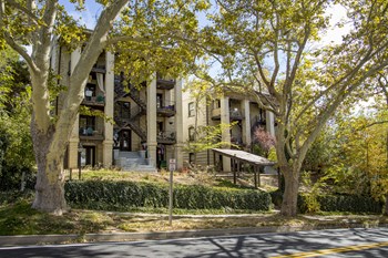 264-268 N State St Studio-2 Beds Apartment for Rent - Photo Gallery 3