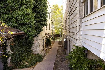 264-268 N State St Studio-2 Beds Apartment for Rent - Photo Gallery 6
