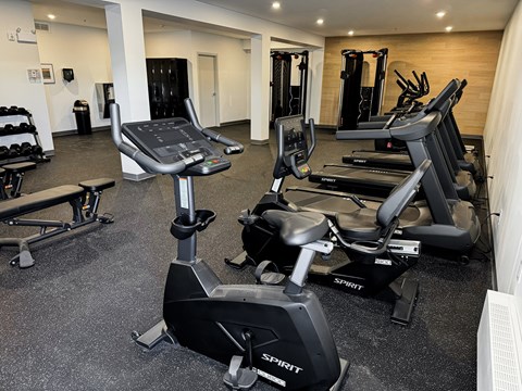 A gym with a variety of cardio equipment including treadmills and stationary bikes.