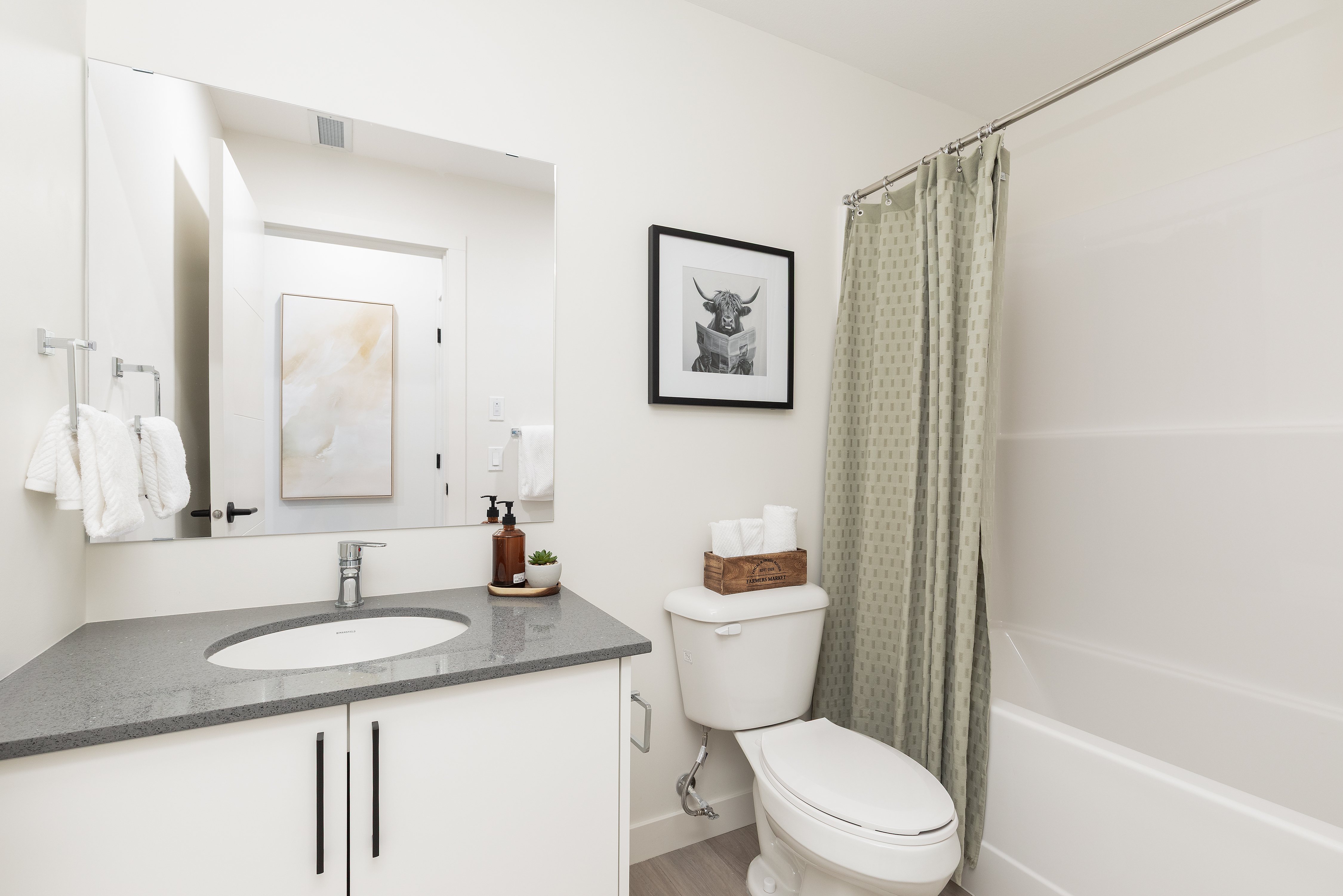 3 bedroom house - Madison Yards, Saskatoon 5