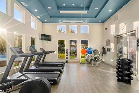 A gym with treadmills and exercise balls.