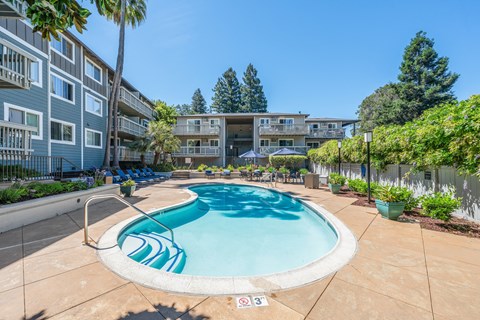 A swimming pool surrounded by palm trees and apartment buildings.