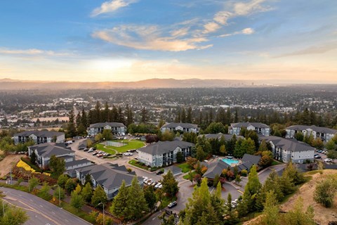an aerial view of a neighborhood with houses and trees