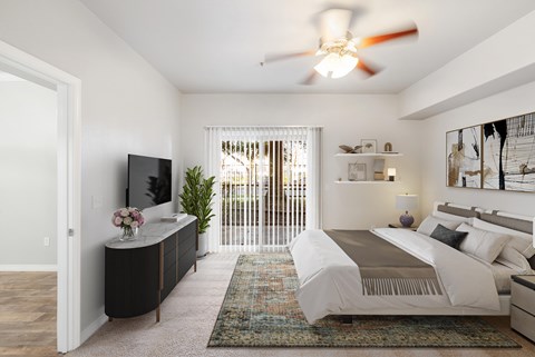 A bedroom with a large bed, a television, and a plant.