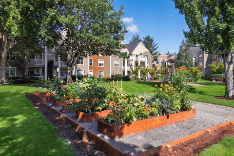 A garden with a long row of plants in front of a building.