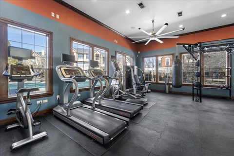 A gym with treadmills, elliptical machines, and a punching bag.