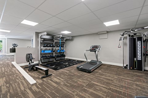 A gym with a treadmill, weights, and exercise equipment.