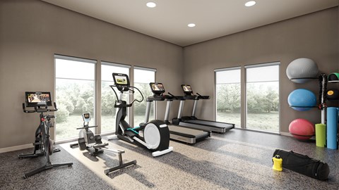 A well-equipped home gym with various exercise machines and equipment.