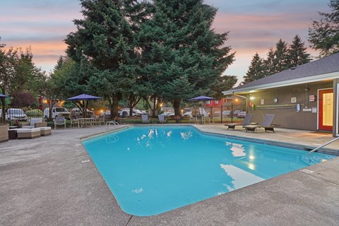 A swimming pool surrounded by trees and lounge chairs.