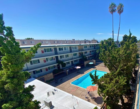 A pool surrounded by trees and a building in the background.