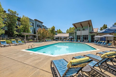 A large swimming pool surrounded by sun loungers and a building in the background.