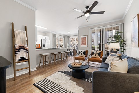 A living room with a grey couch and a rug.