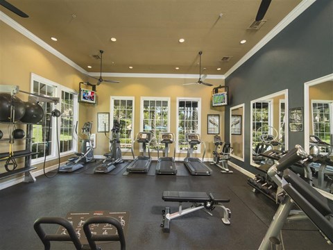A spacious gym with a variety of equipment and a view of trees outside the windows.