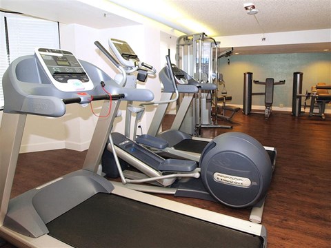 A gym with treadmills, elliptical machines, and weights.
