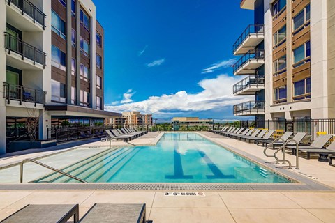 A large swimming pool in a residential area with sun loungers on the side.