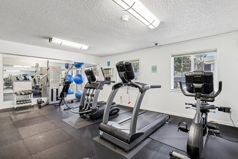 A gym with treadmills, exercise bikes, and other equipment.