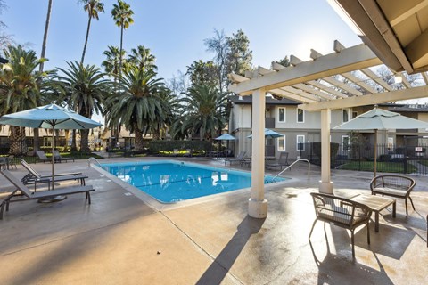 A pool surrounded by palm trees and a patio area with chairs and a table.