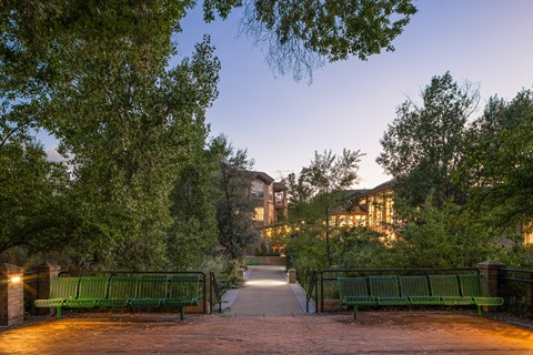 A park with a pathway, green benches and trees.