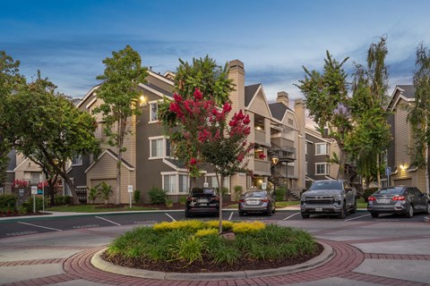 A roundabout with a flower bed in the middle of a street with cars parked on the side.