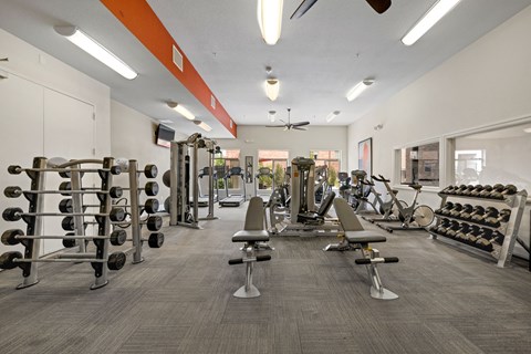 A gym with a variety of equipment including weights and cardio machines.