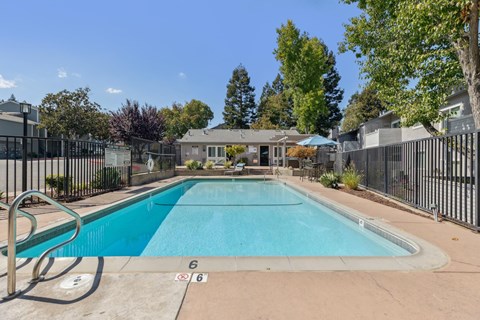 A swimming pool surrounded by a fence and trees.