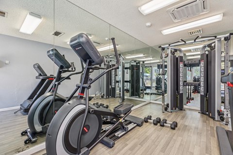 A gym with a row of stationary bikes and a mirrored wall.