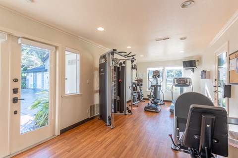 A home gym with a variety of equipment including treadmills, weights, and exercise machines.