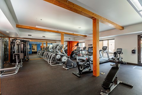 a gym with cardio equipment and weights on the floor