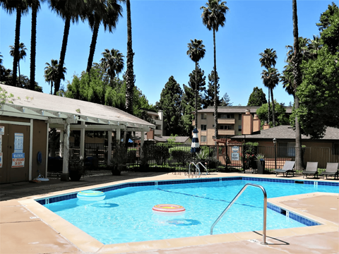 A pool surrounded by palm trees and a building in the background.
