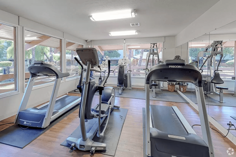 A gym with treadmills and elliptical machines.