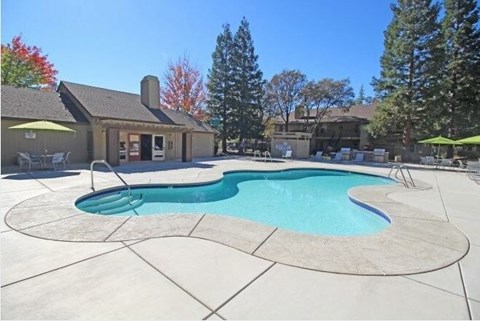 A small pool in a backyard with a house and trees in the background.