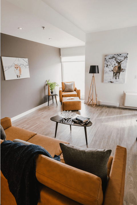 a living room with a couch and a chair