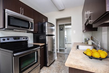 391 Gertrude Ave. 1-2 Beds Apartment for Rent - Photo Gallery 5