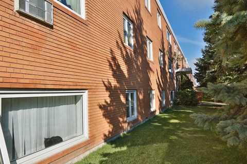 a shadow of a cat on the side of a house