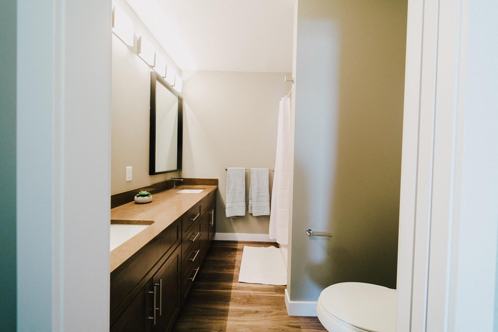 a bathroom with a sink and a toilet and a shower