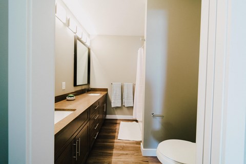 a bathroom with a sink and a toilet and a shower