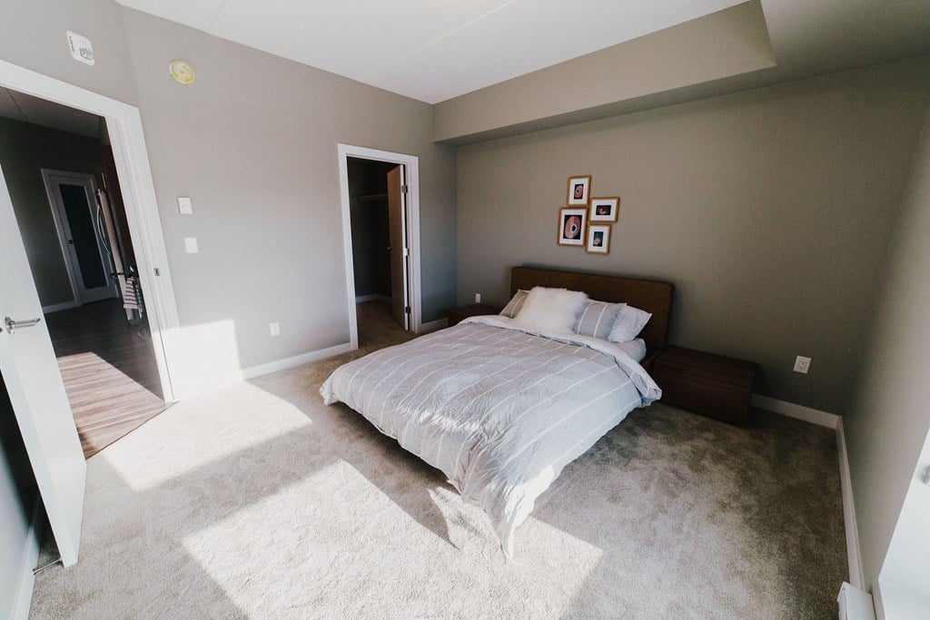 a bedroom with a bed and a carpeted floor