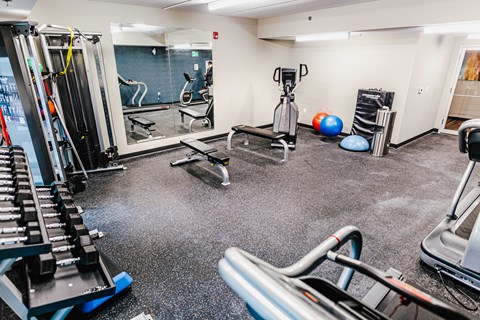 a gym with cardio machines and weights on the floor