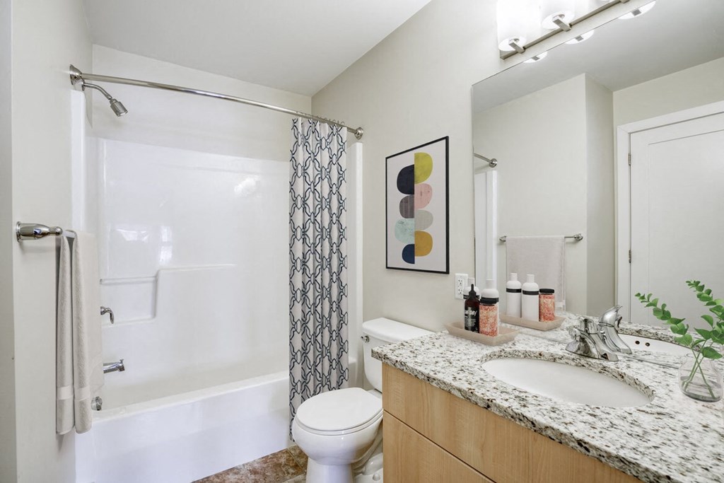 a bathroom with a sink and a toilet and a shower