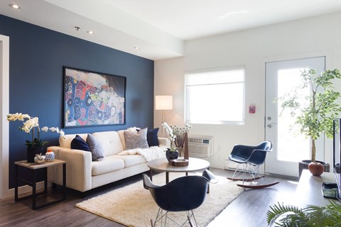 a living room with a white couch and a blue accent wall