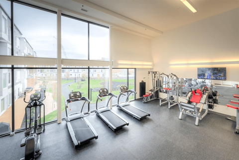 a gym with cardio equipment and large windows