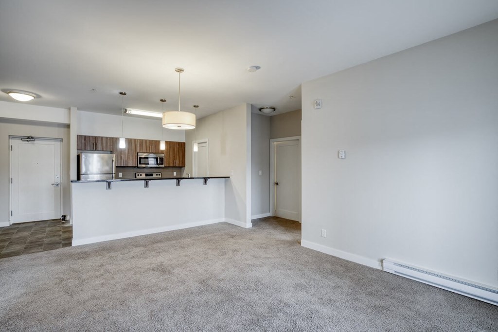 a living area with a kitchen and a carpeted floor