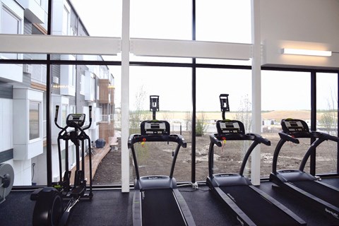 a row of cardio machines in a gym overlooking a window