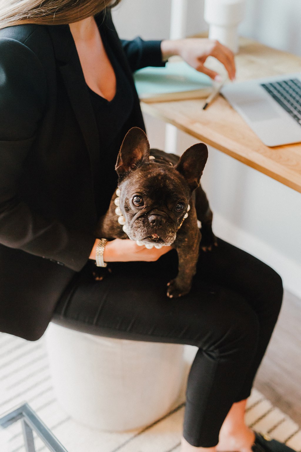 a woman sitting at a desk with a dog on her lap